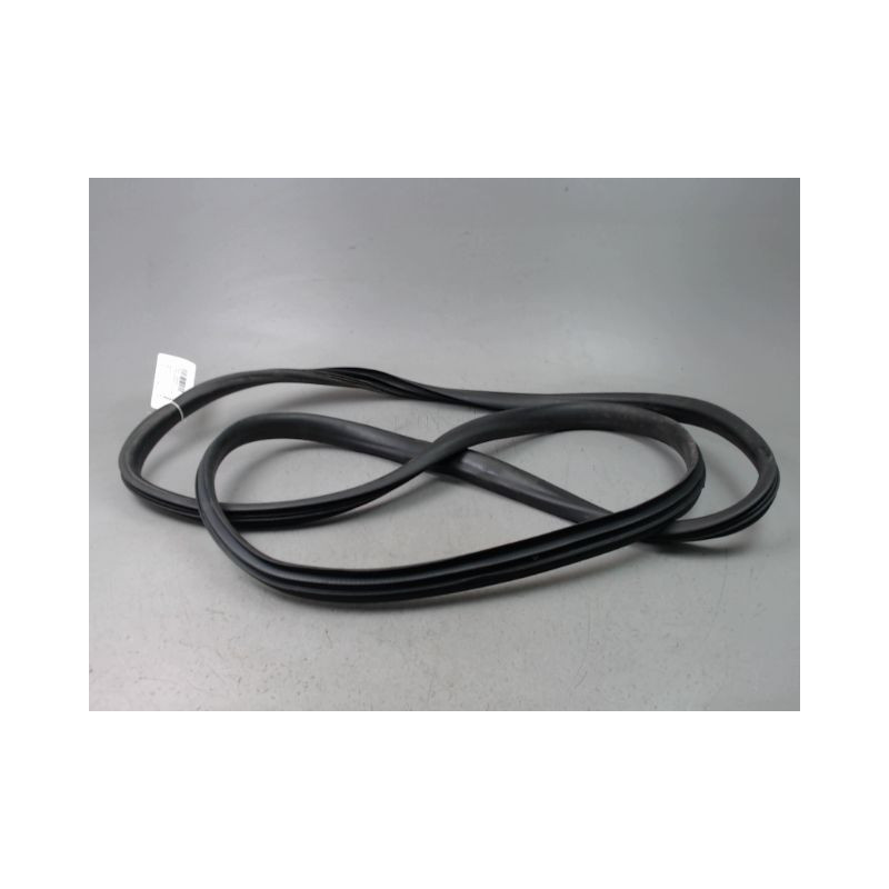 JOINT PORTE AVANT GAUCHE RENAULT SCENIC MONOSP. III Phase 3 2013-...