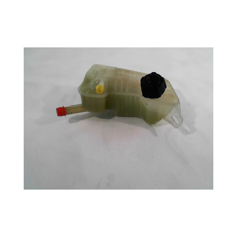 VASE EXPANSION RENAULT MEGANE