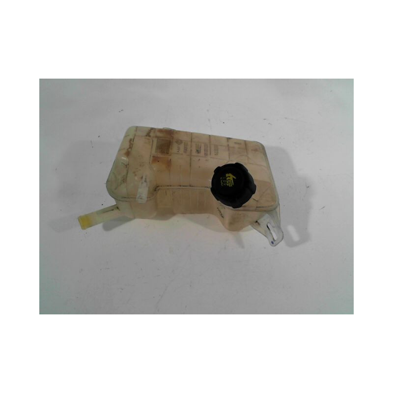 VASE EXPANSION RENAULT SCENIC II PH.1 03-06