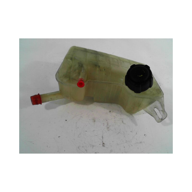 VASE EXPANSION RENAULT SCENIC II PH1 02-06