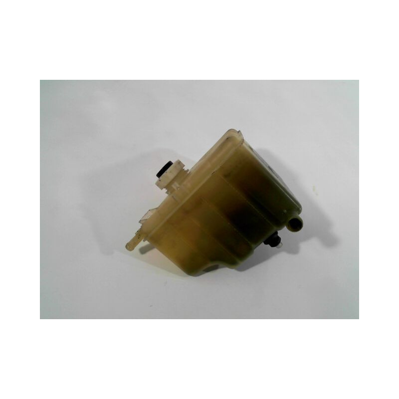 VASE EXPANSION RENAULT LAGUNA 98-2000