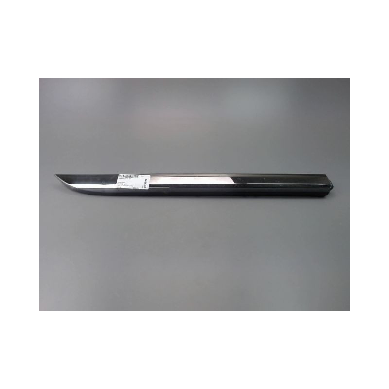 PROTECTION PORTE ARRIERE DROIT RENAULT CLIO