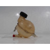 VASE EXPANSION PEUGEOT 206+ 2009-
