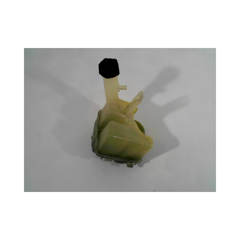 VASE EXPANSION RENAULT LAGUNA II 00-2005