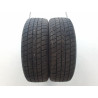 Paire de pneus LANVIGATOR CATCHFORS A/S 195 55 16 91 V
