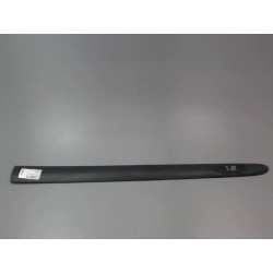 PROTECTION PORTE AVD