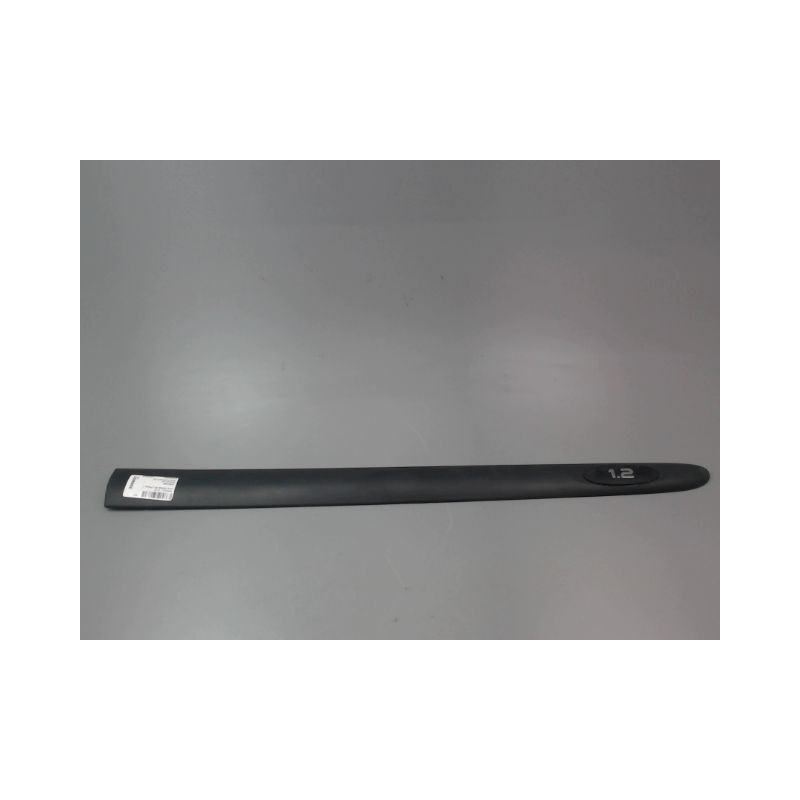 PROTECTION PORTE AVANT DROIT RENAULT CLIO II Phase 1 1998-2001