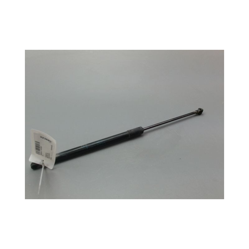 VERIN HAYON G RENAULT SCENIC