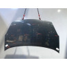 CAPOT CITROEN BERLINGO FOURGON 2008-