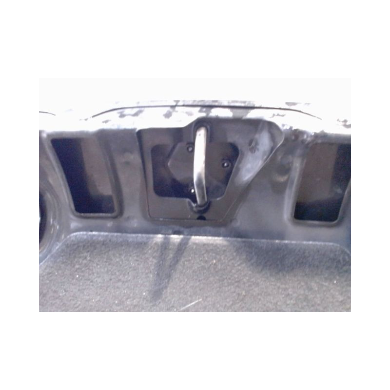 CAPOT RENAULT TWINGO PH.3 2000-2007