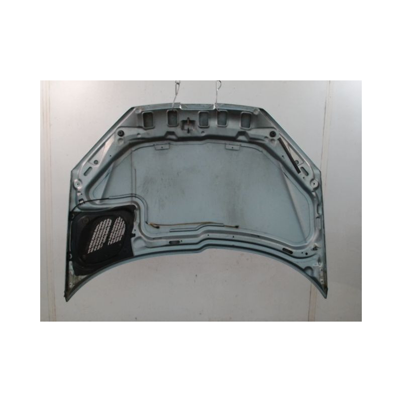 CAPOT PEUGEOT 206