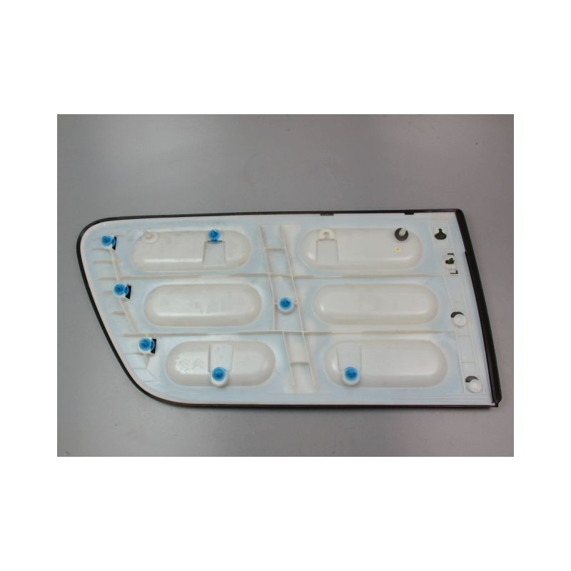 PROTECTION PORTE ARRIERE GAUCHE CITROEN C4 CACTUS