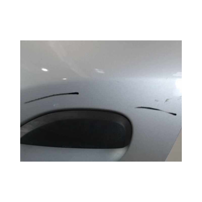 PORTE ARRIERE GAUCHE DACIA SANDERO