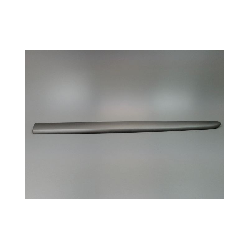 PROTECTION PORTE AVANT DROIT RENAULT MODUS Phase 2 2008-2012