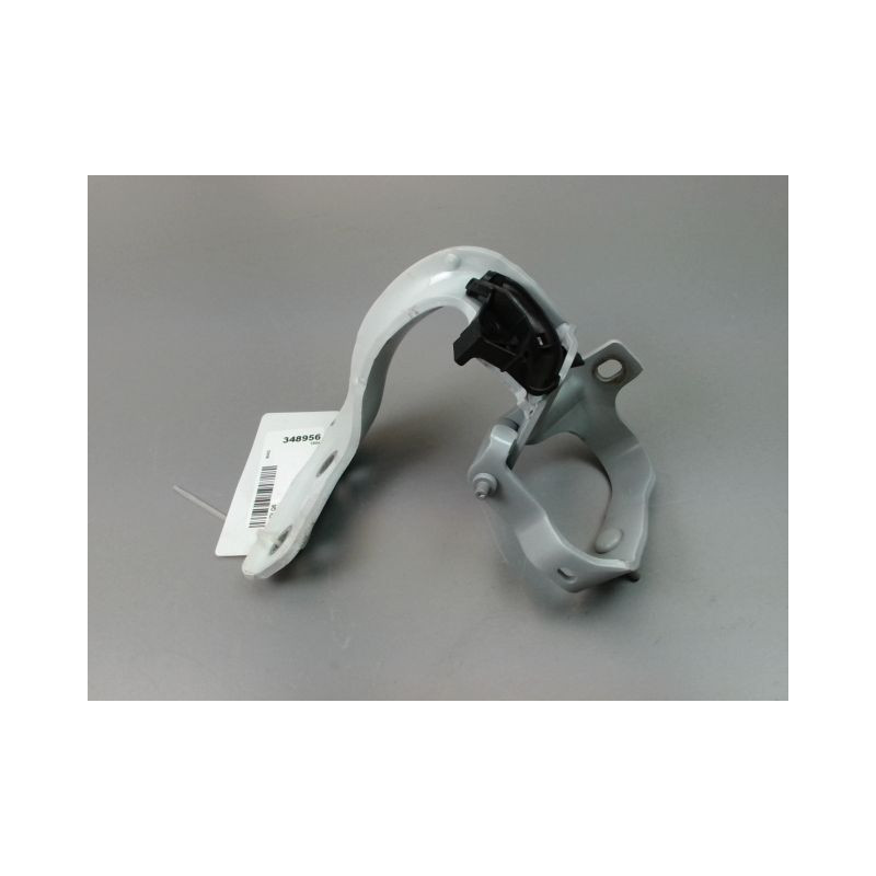 CHARNIERE HAYON D AUDI Q5