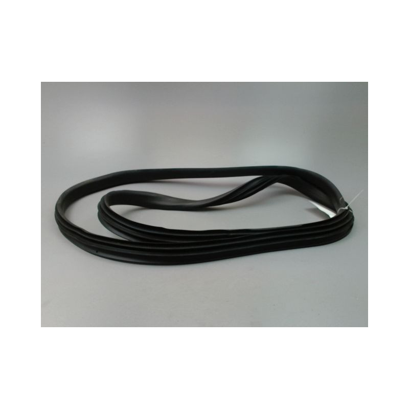 JOINT PORTE AVANT GAUCHE DACIA SANDERO 2008-