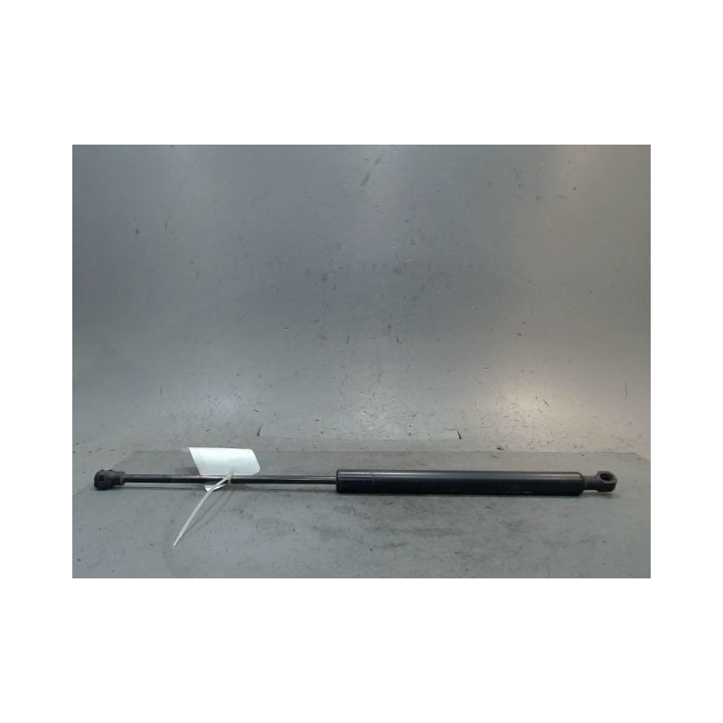 VERIN HAYON G RENAULT CAPTUR