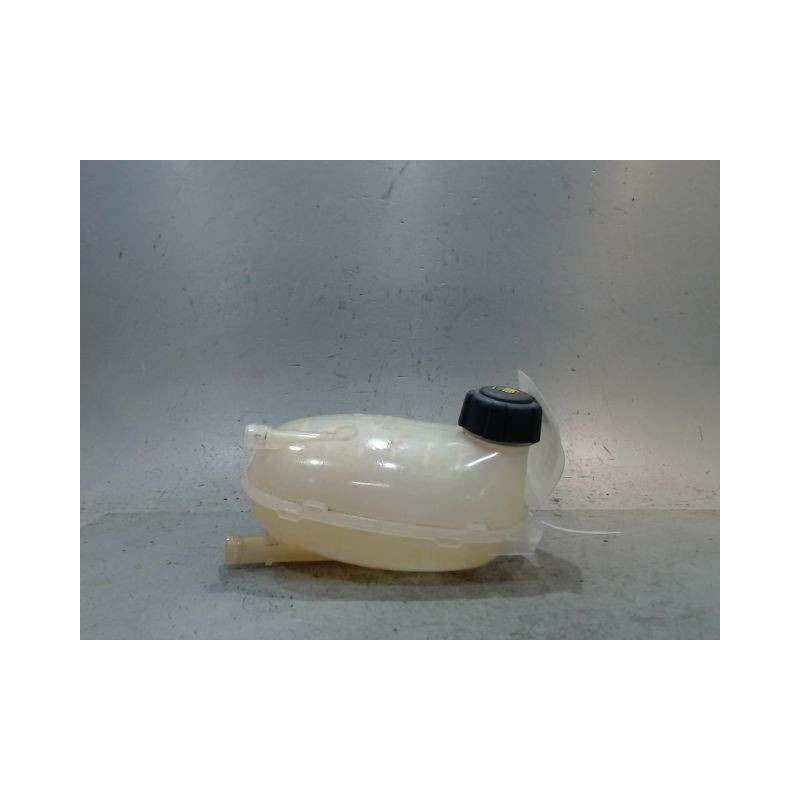 VASE EXPANSION RENAULT CLIO