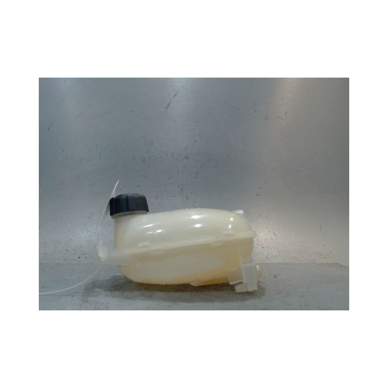 VASE EXPANSION RENAULT CLIO