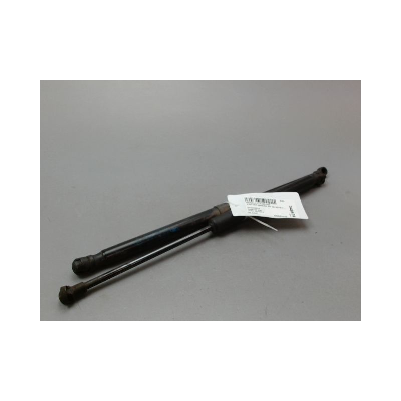 VERIN HAYON G RENAULT KADJAR BREAK 2015-...