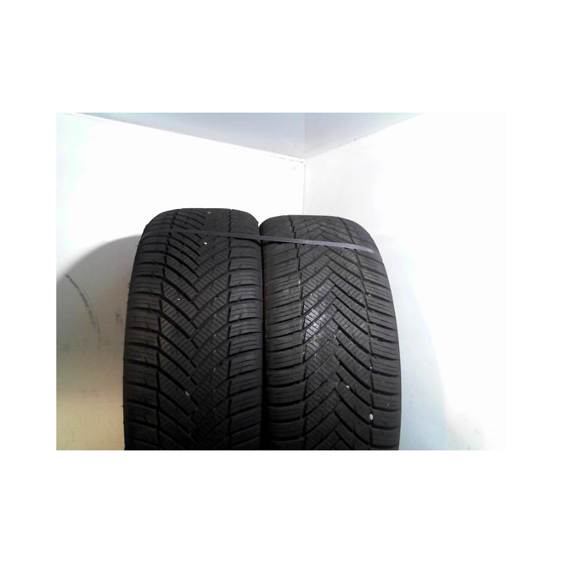 Paire de pneus MINERVA ALLSEASON MASTER 205 50 17 93 W