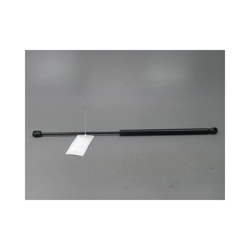 VERIN HAYON G RENAULT MEGANE SCENIC MONOSP. I Phase 2 1999-2003