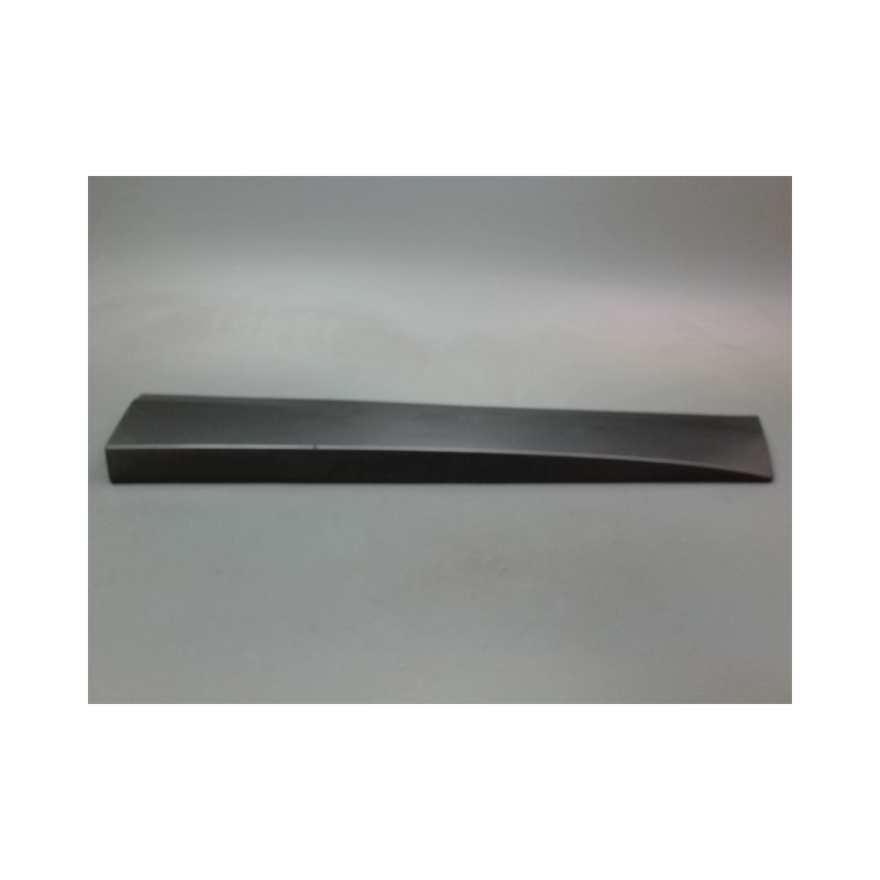 PROTECTION PORTE AVANT DROIT RENAULT SCENIC MONOSP. III Phase 1 2009-2011