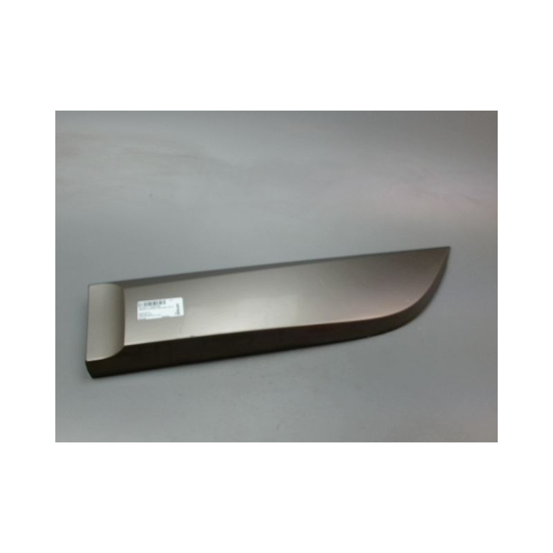 PROTECTION PORTE ARRIERE GAUCHE RENAULT GRAND SCENIC MONOSP. III Phase 1 LONG 2009-2011