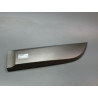 PROTECTION PORTE ARRIERE GAUCHE RENAULT GRAND SCENIC MONOSP. III Phase 1 LONG 2009-2011