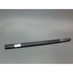 PROTECTION PORTE AVD