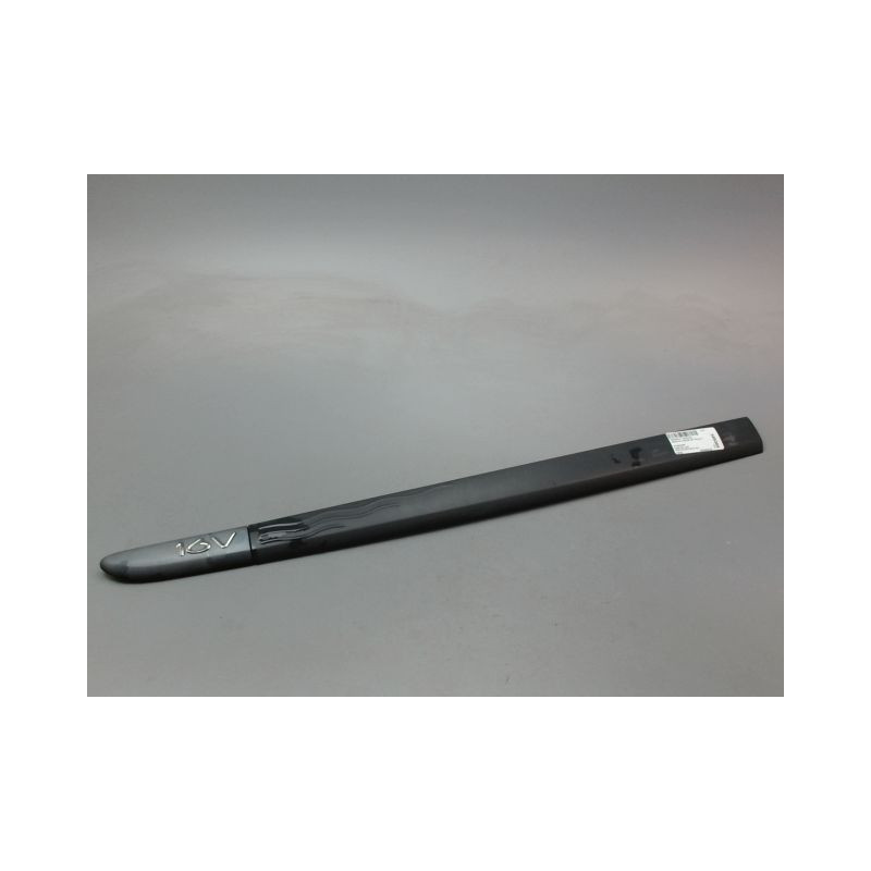 PROTECTION PORTE AVANT GAUCHE RENAULT MODUS Phase 1 2004-2007