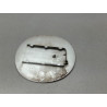 VOLET DE TRAPPE CARBURANT FORD C-MAX