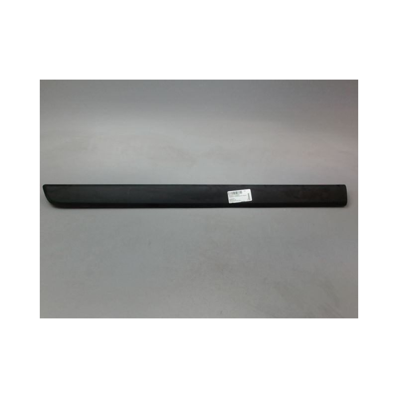 PROTECTION PORTE AVANT GAUCHE RENAULT KANGOO EXPRESS II Phase 1 2008-2013