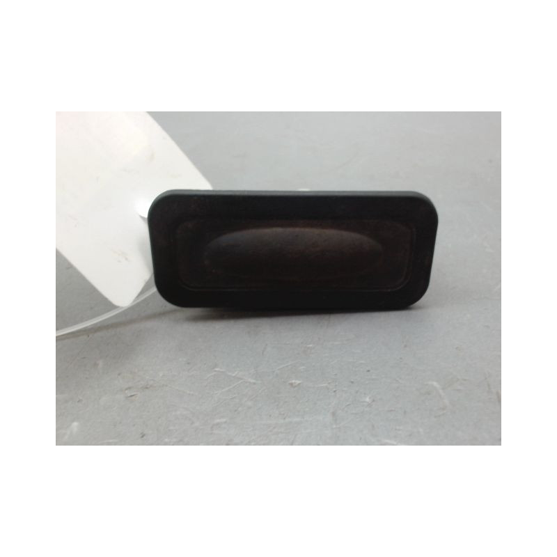 POIGNEE EXTERIEURE HAYON RENAULT CLIO IV Phase 1 2012-...