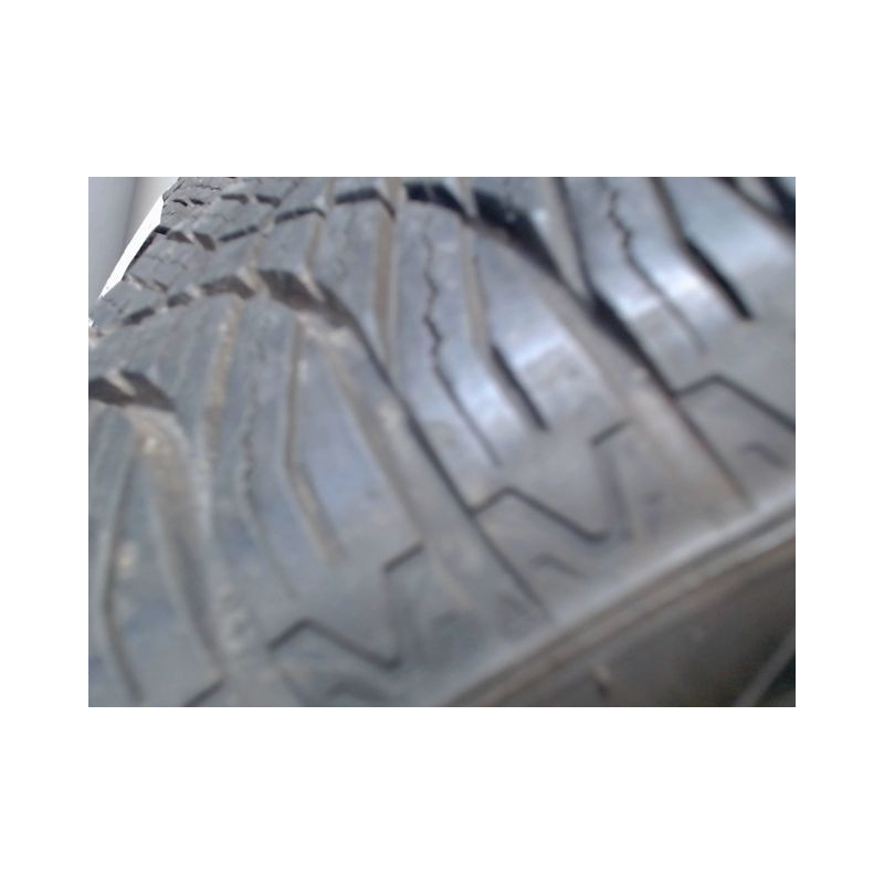 Paire de pneus GOODRIDE ALL SEASON ELITE Z-401 195 55 15 89 V