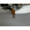 ANTIVOL DE DIRECTION NISSAN MICRA