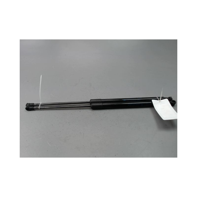 VERIN HAYON G RENAULT SCENIC