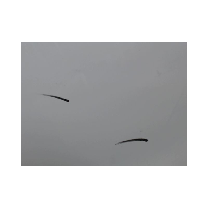 PORTE COULISSANTE GAUCHE CITROEN BERLINGO