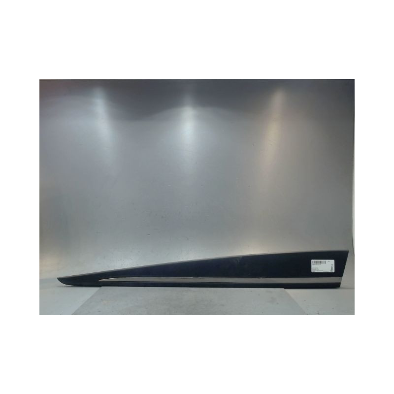 PROTECTION PORTE AVANT GAUCHE RENAULT CLIO