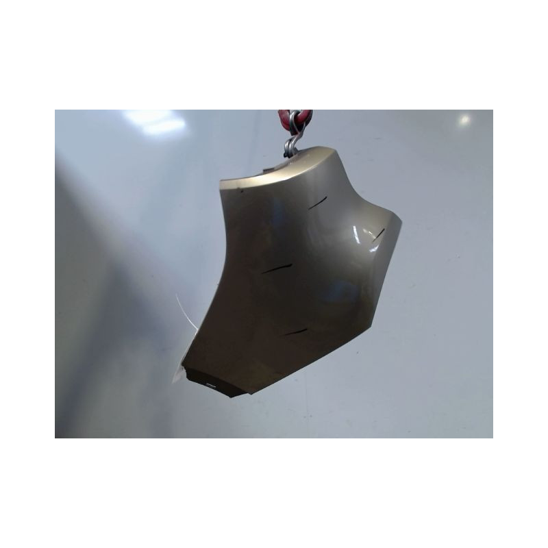 CROSSE ARRIERE GAUCHE RENAULT KADJAR