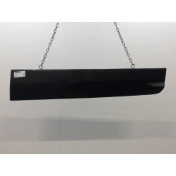 PROTECTION PORTE AVD