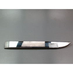 PROTECTION PORTE ARG