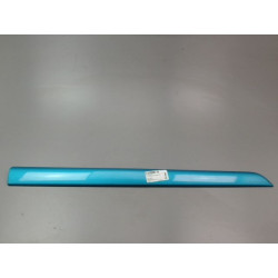 PROTECTION PORTE AVD