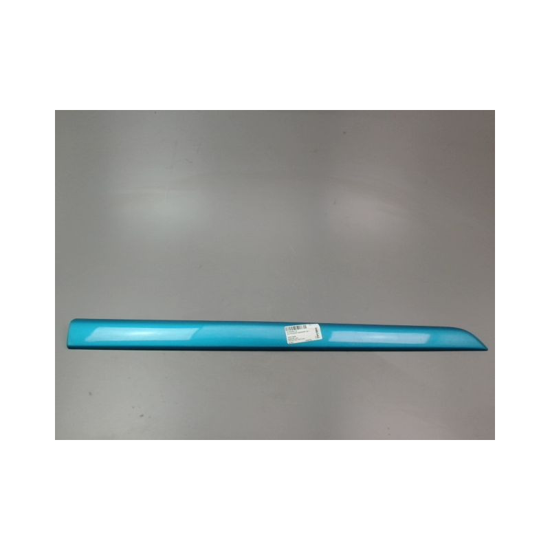 PROTECTION PORTE AVANT DROIT CITROEN C4 PICASSO MONOSP. I 2007-2013