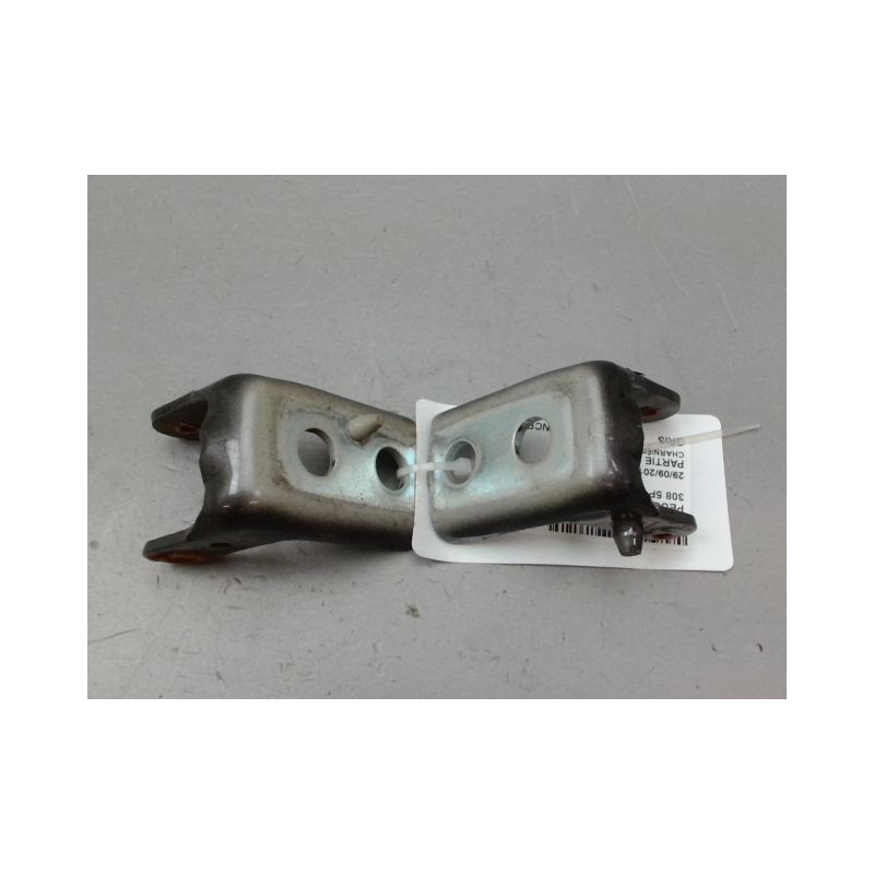 CHARNIÈRE PORTE ARD PEUGEOT 308 2009-