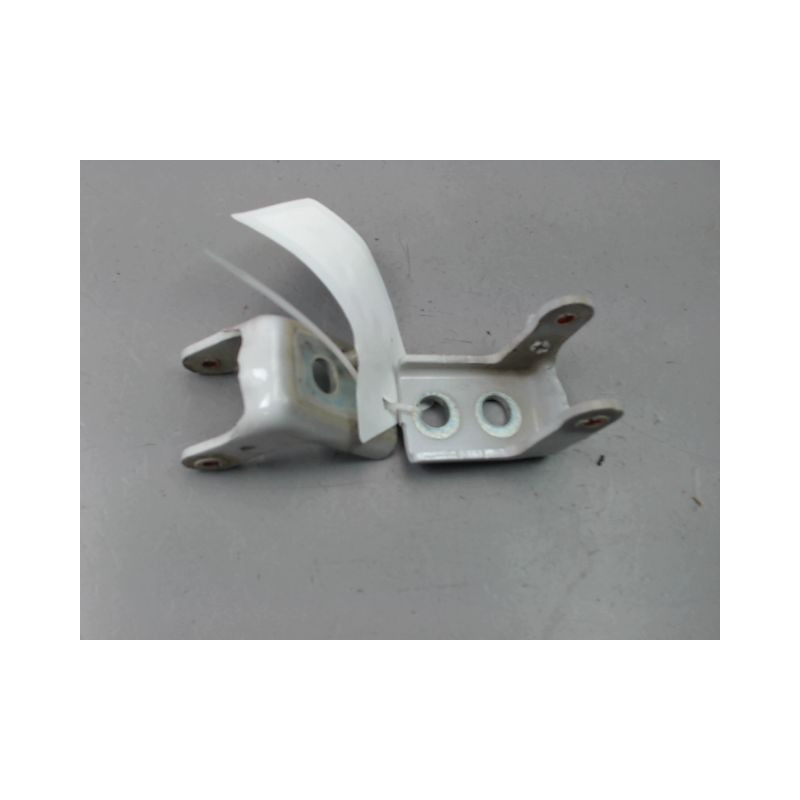 CHARNIÈRE PORTE ARD PEUGEOT 208 Phase 1 2012-...