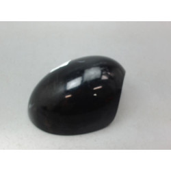 CARENAGE RETROVISEUR EXT D