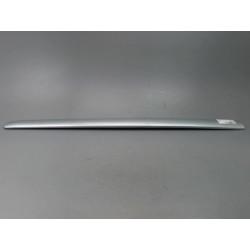 PROTECTION PORTE AVD