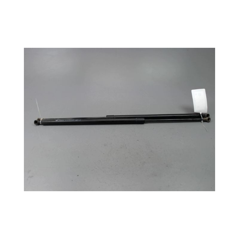 VERIN HAYON G RENAULT SCENIC MONOSP. III Phase 3 2013-...