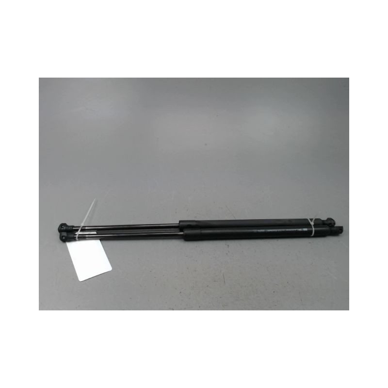 VERIN HAYON G RENAULT SCENIC MONOSP. III Phase 3 2013-...